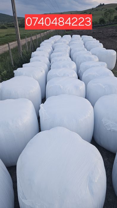 Baloti de lucerna infoliati – calitate premium! (Torița, jud. Mureș)