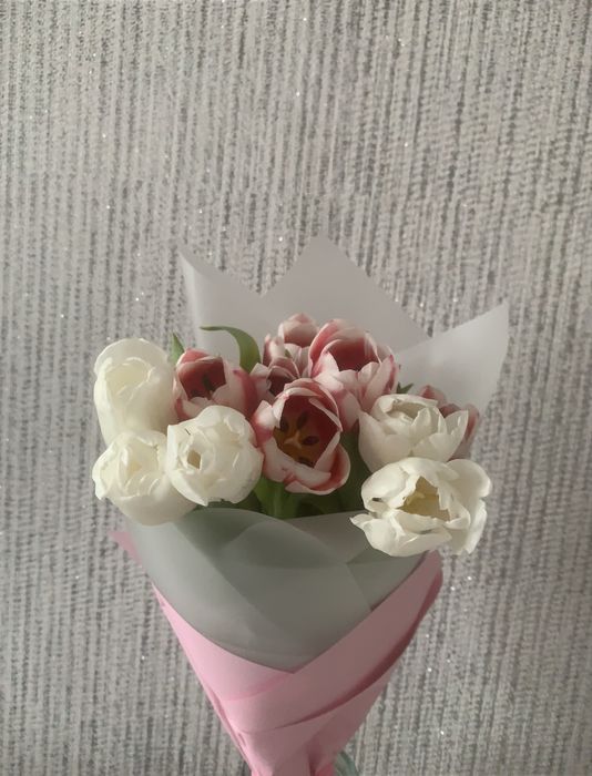 продам тюльпаны.