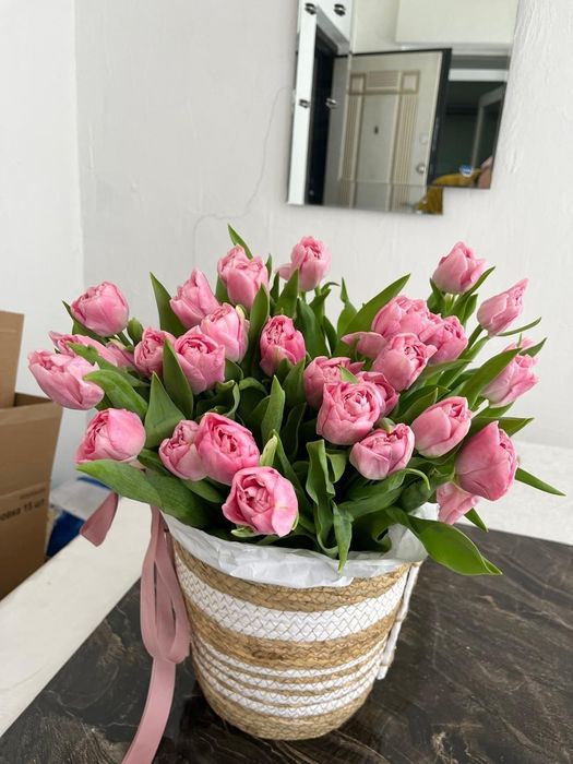 Тюльпаны   Белоруссия  от 700