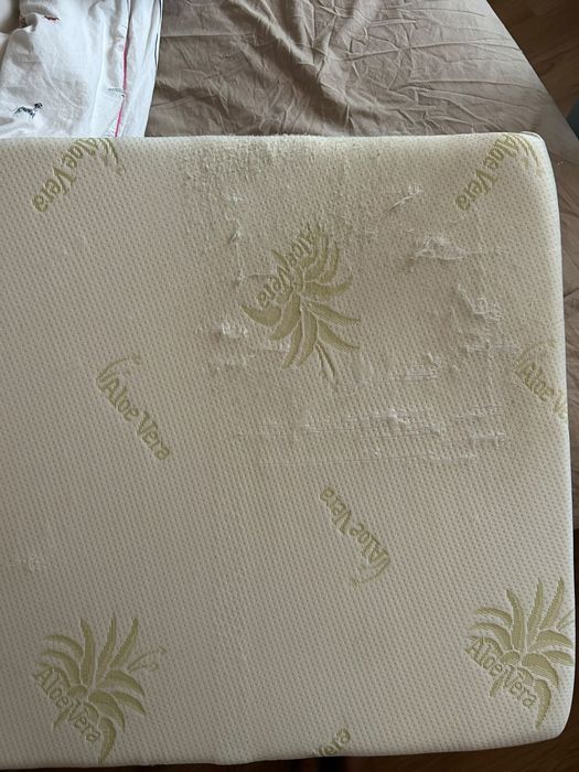 Patut bebelusi Glam Azzurra