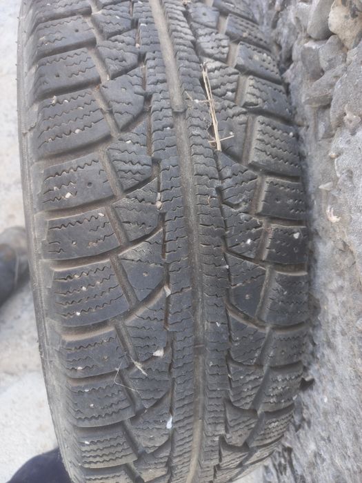 Кыстык донгелектер