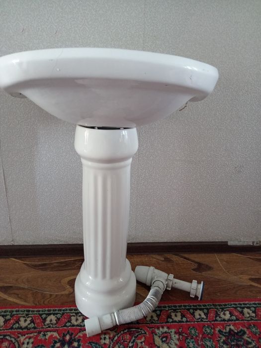 Раковина тюльпан