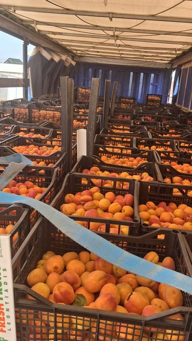 Prune de tuica si palinca cu transportul gratuit