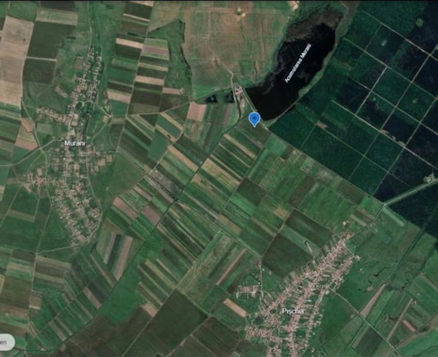 Vand 29.300 mp langa padure si lac Pischia