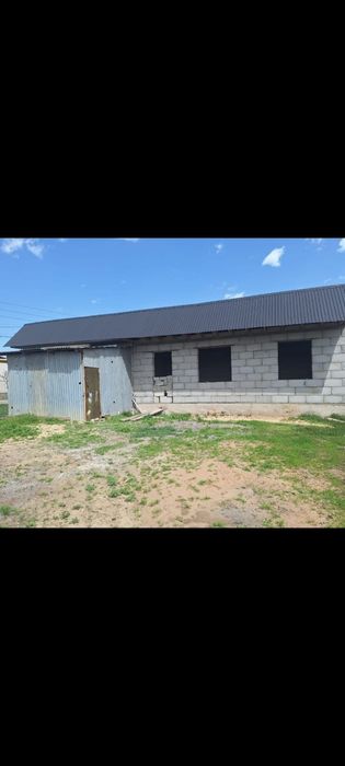 Илииский район поселок Береке