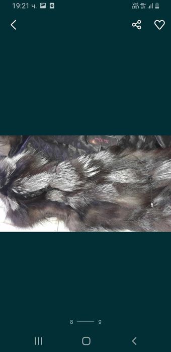 Нов елек сребърна лисица