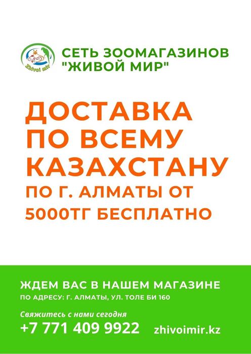 Аквариумистика в "Живом Мире" на Толе би