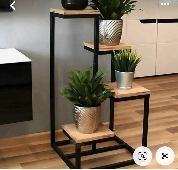 Yigit uning mushukini qirdiradi