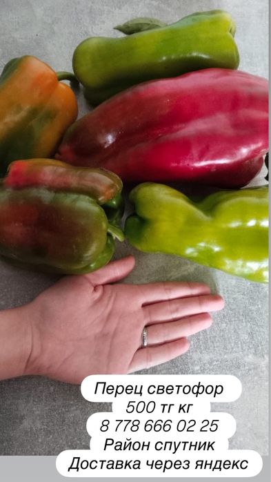 Продам домашний перец светофор