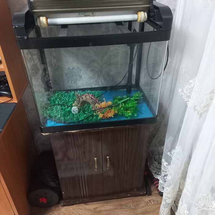 Продам аквариум разные.
