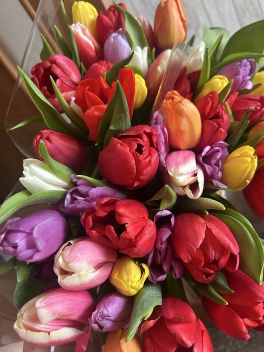 Тюльпаны крупные