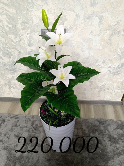 Суний гуллар ва дарахтлар муддатли ту́ловга