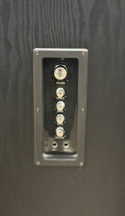 Тонколони THUNDER THS-P01BT, 2.0,100W, Radio, Bluetooth, USB,SD карти