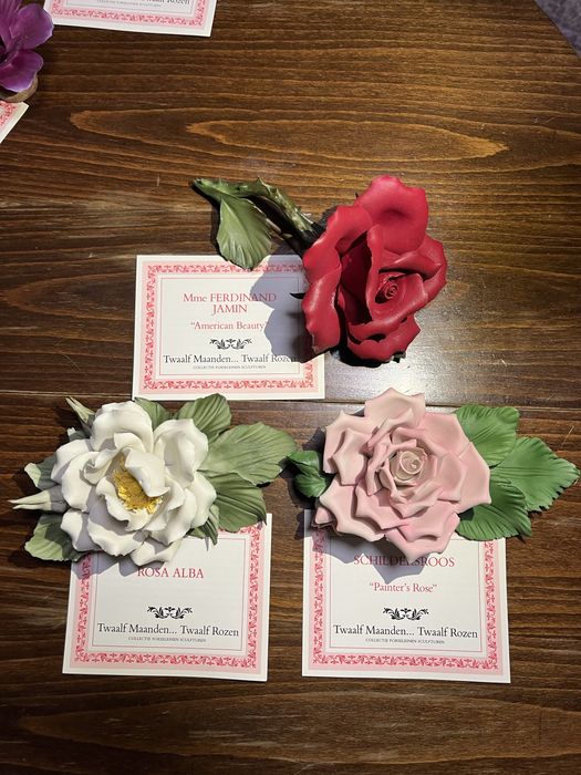 Колекция от 12 порцеланови рози,Capodimonte,Italy