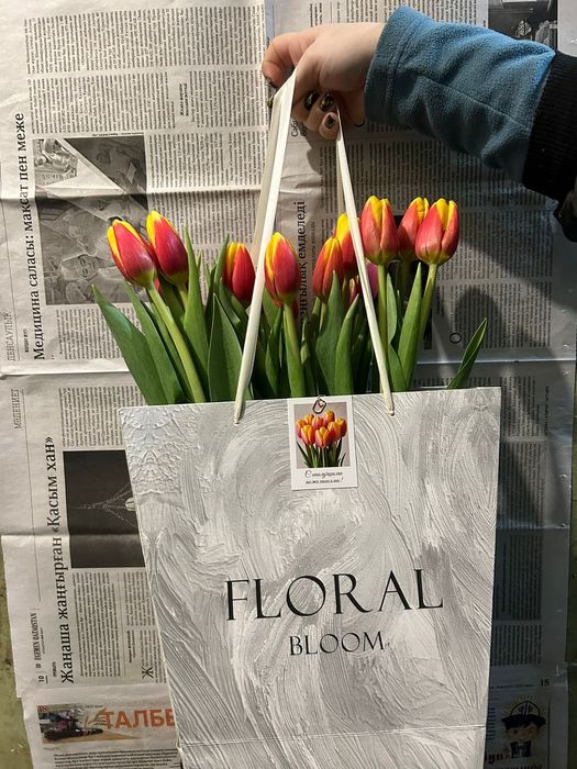 Тюлпаны Город Павлодар Аксу