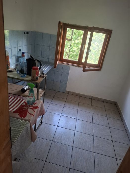 Curățenie la domiciliu