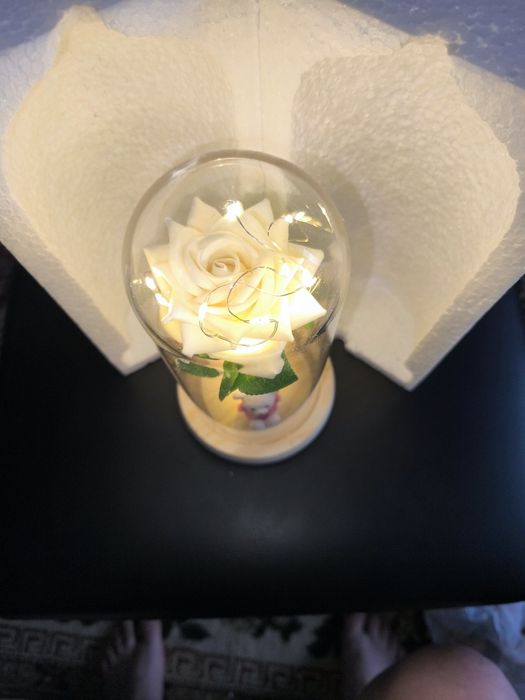 Цветы , Роза , Подарок