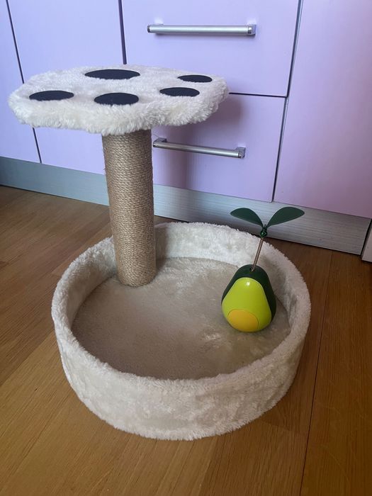 Котешки аксесоари