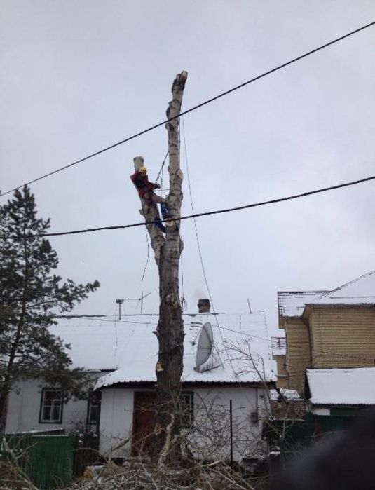 Спил деревьев агаш кесемиз