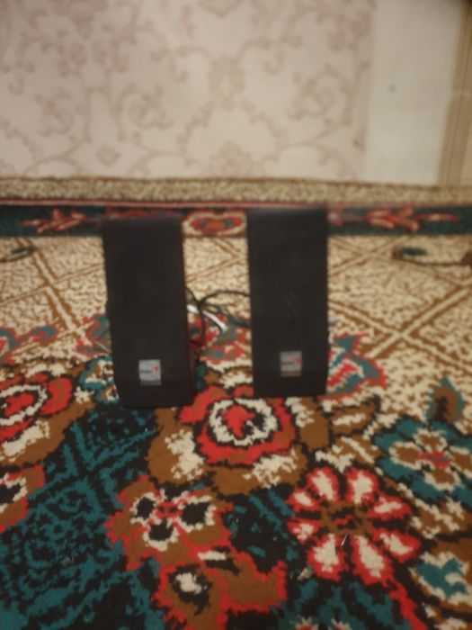 Kampitor kalonkasi sotiladi narxini kelishamiz