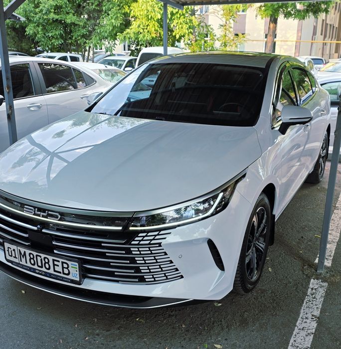 BYD Chazor flagship 120