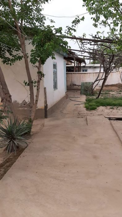 Уй сотилади.Сурхондаре вилояти.Жаркургон.