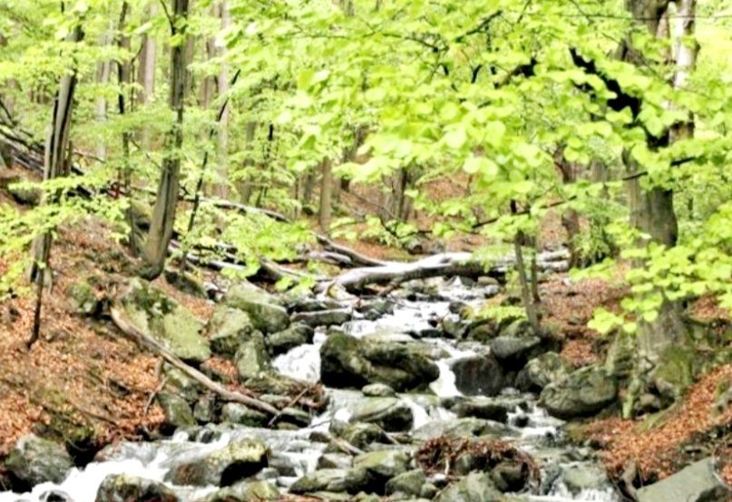 Продавам парцел в Бояна