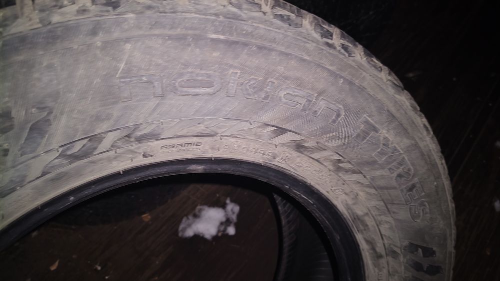 Шины нокиан германия