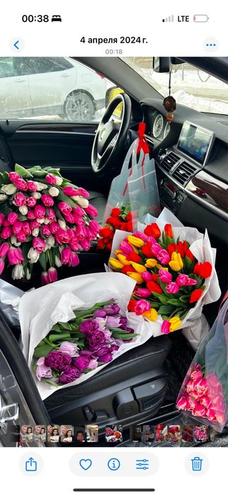 Свежие цветы тюльпаны | Астана