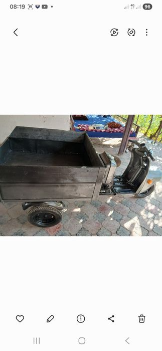 Муравей в хорошем состоянии