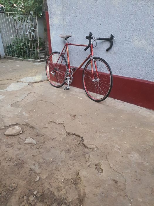 Cursieră LUDO Belgia-clasică