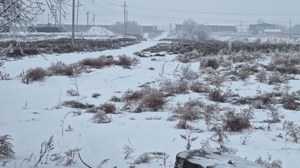 Участок 50 соток