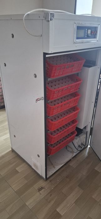 Инкубатор 500 майек