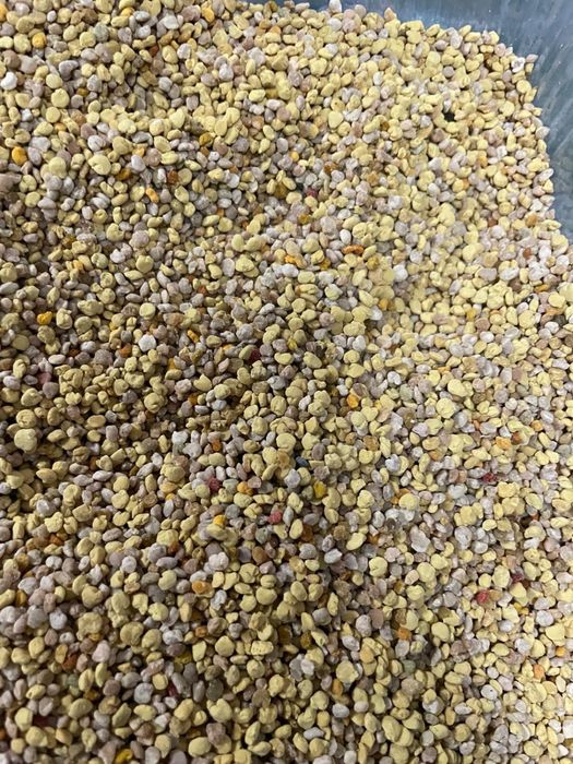 De vanzare miere de amorfa  si polen