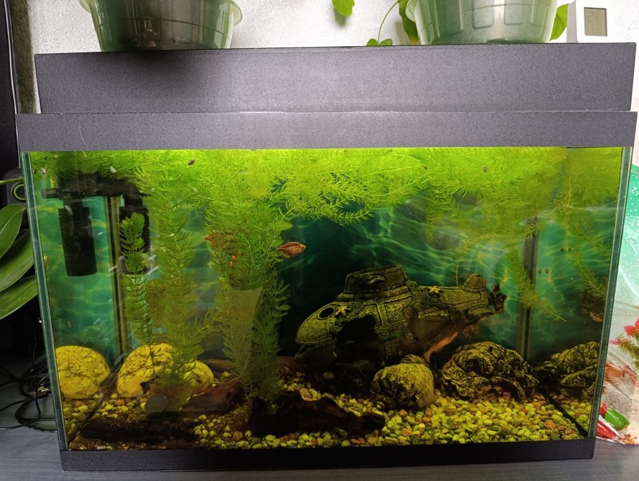 Аквариум 60 литров