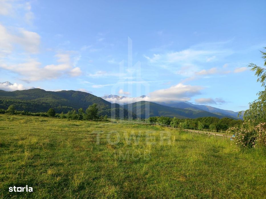 Teren intravilan de vânzare | Valea Avrigului-Porumbacu de Jos