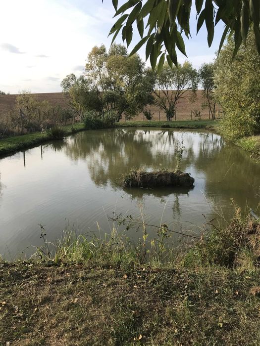 De vânzare baltă de pescuit