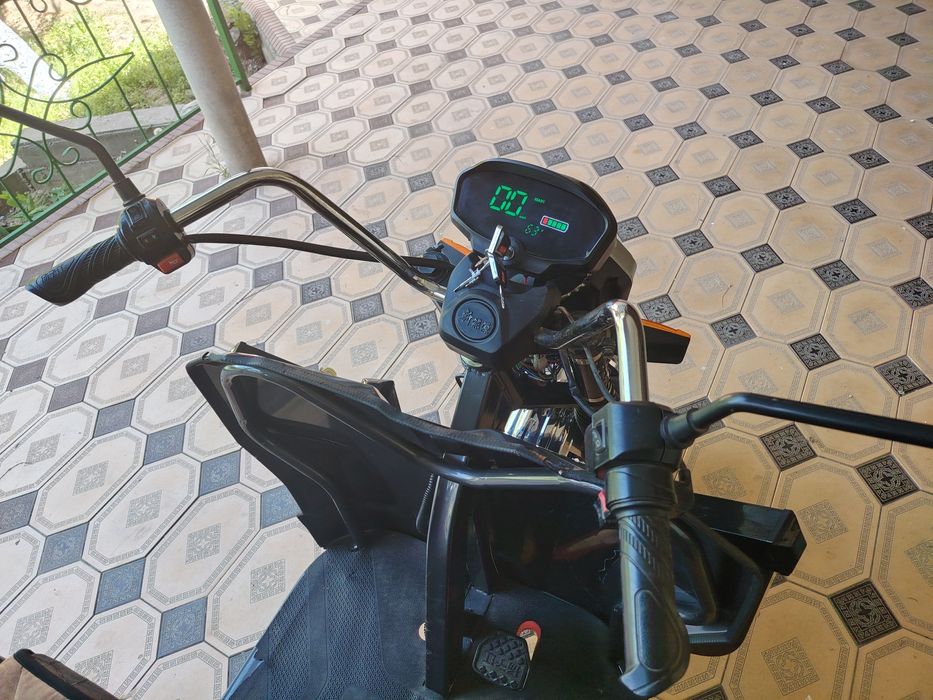 Трицыкол муравей