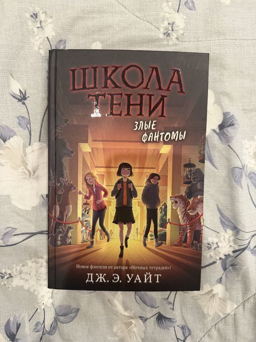 Книга Школа Тени