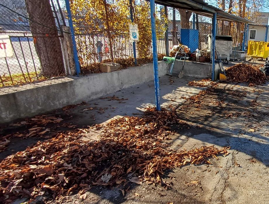 Почистване на сезонен листопад и растителни отпадъци