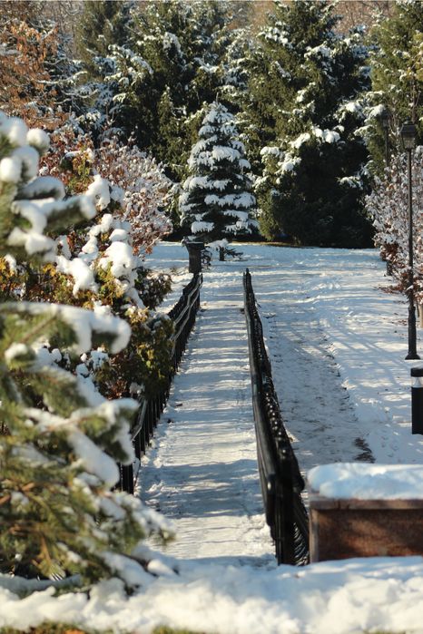 Canon zoom lens ef 50mm