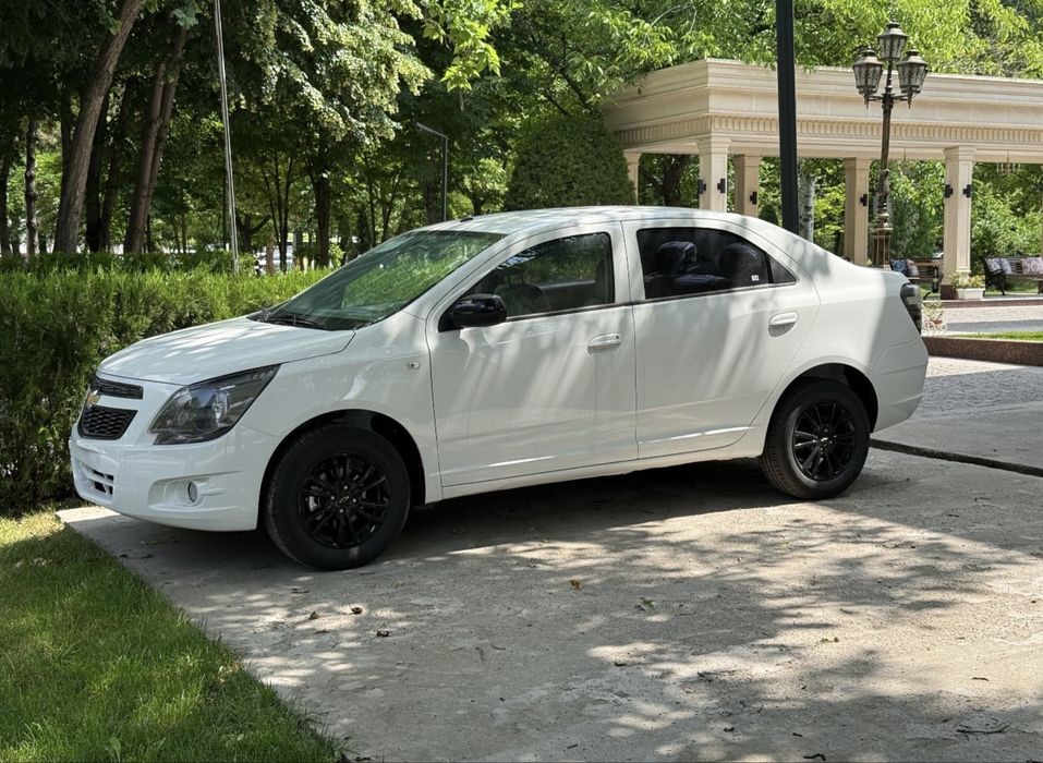 Cobalt midnight 2025