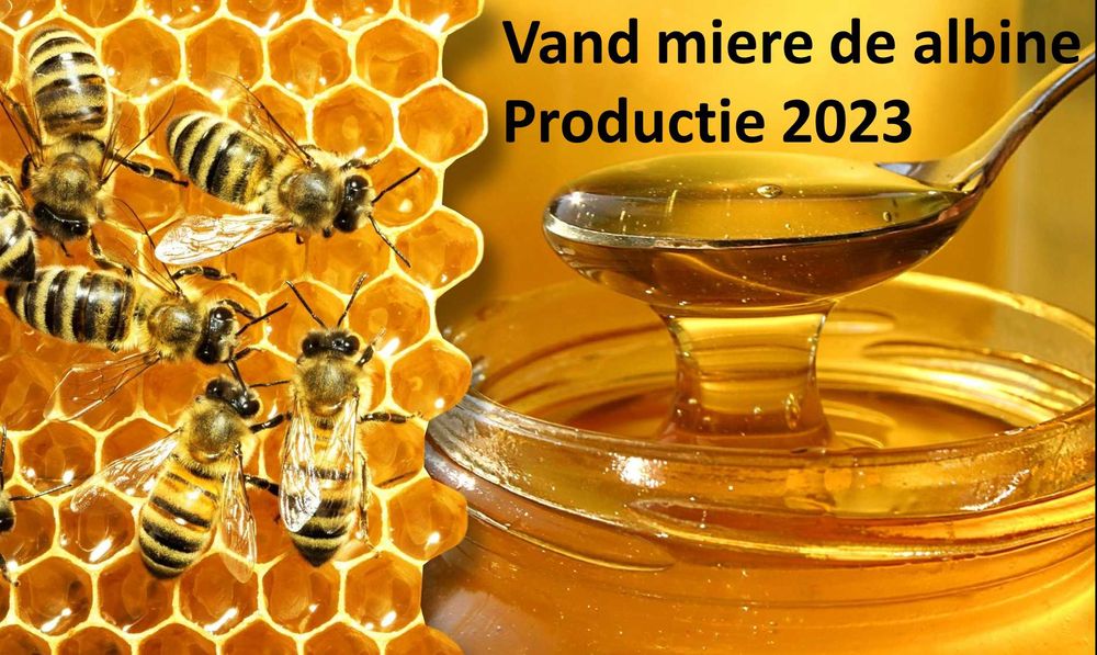 Vand miere de albine productie ECO 2025, 30RON=1kg