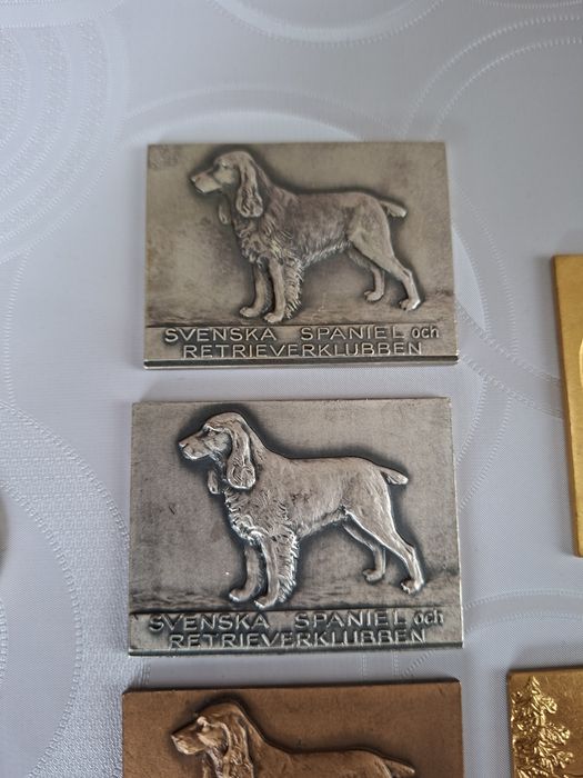 Спортни Медали с Кучета