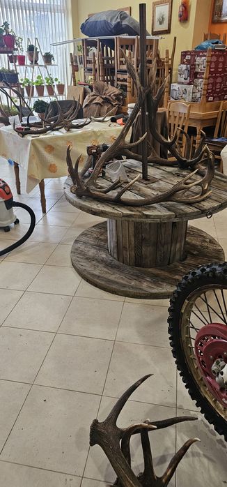 Полюлей от еленски рога