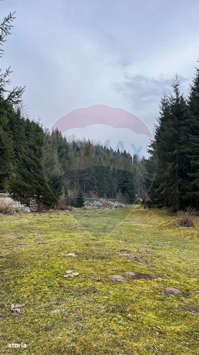 Arieșeni–Strada Fața Cristesei -Teren 4.331 mp cu Peisaj de Poveste