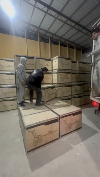 kulutivator 7 hp 170 F 400/8 ( bezin)