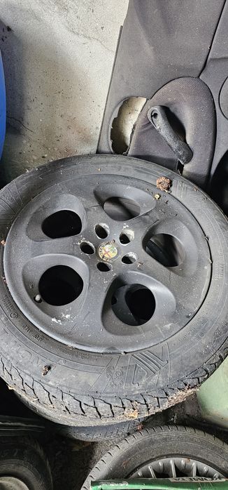 джанти за алфа .