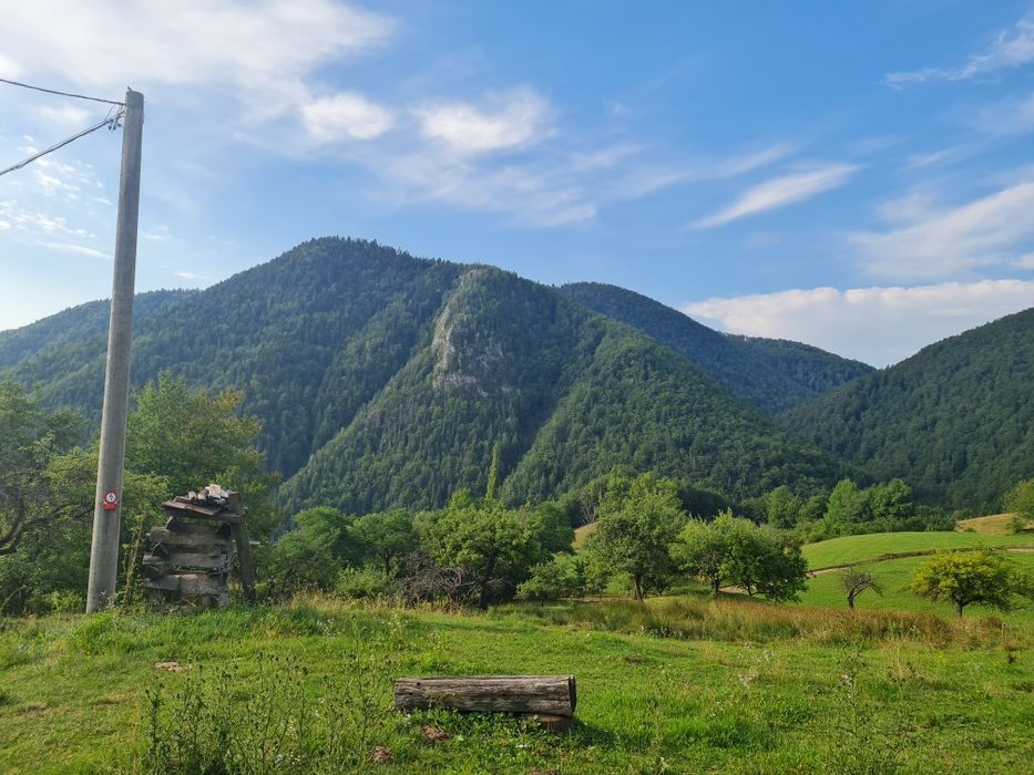 Teren de vânzare cu casă în Apuseni