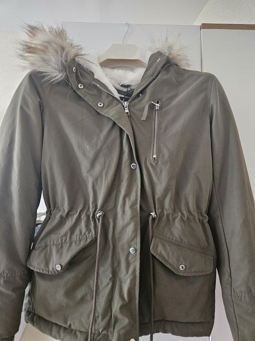 Зимна Парка каки